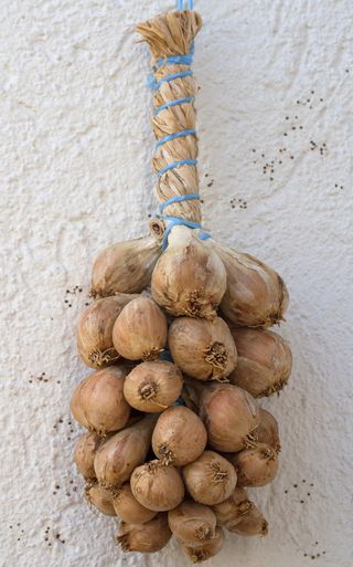 洋葱，辫子，香料，蔬菜，洋葱，厨师，地中海，食品
