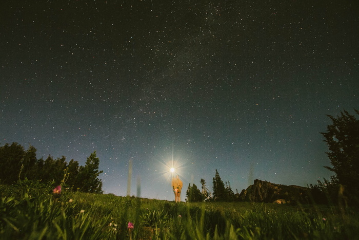 星海，夜晚的绿色，绿色，夜间，自然，恒星空间，夜晚，天文学