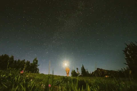 星海,夜晚的绿色,绿色,夜间,自然,恒星空间,夜晚,天文学 星海,夜晚的绿色,绿色,夜间,自然,恒星空间,夜晚,天文学