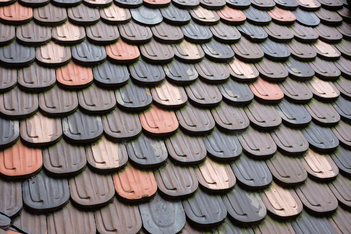 上科尼斯堡，法国阿尔萨斯，石板瓦，神圣罗马帝国，法国城堡，石板屋顶，全框架