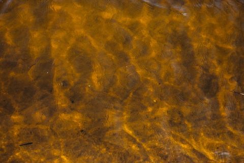 在美国，春天是绿色的，威斯康星河，涟漪，阳光，夏天，河流，沙滩