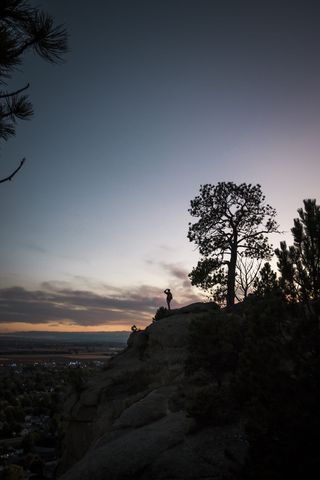 美国，比林斯，日落，天空，树，人，城市，云