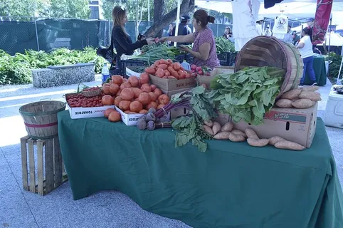 美国，迈阿密，布里克尔，食品和饮料，食品，蔬菜，健康饮食，真人