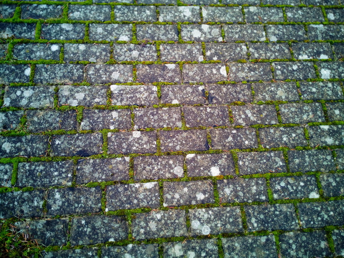 纹理、铺路石、鹅卵石、街道、empedrado、土壤、石头、地板