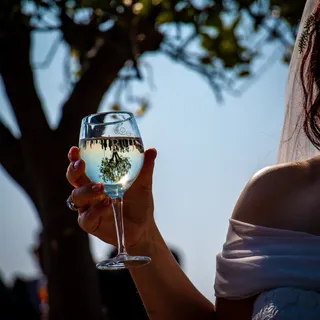 玻璃，人，人，高脚杯，酒精，饮料，啤酒，啤酒杯