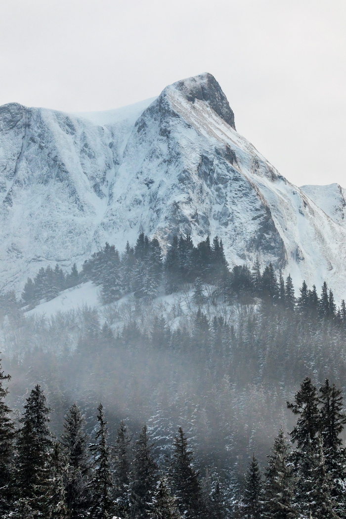 山，雪，白天，山，冷，冬天，被雪覆盖，冬天