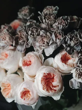 白花、鲜花、婚礼花、粉色花、玫瑰、玫瑰、干花、复古