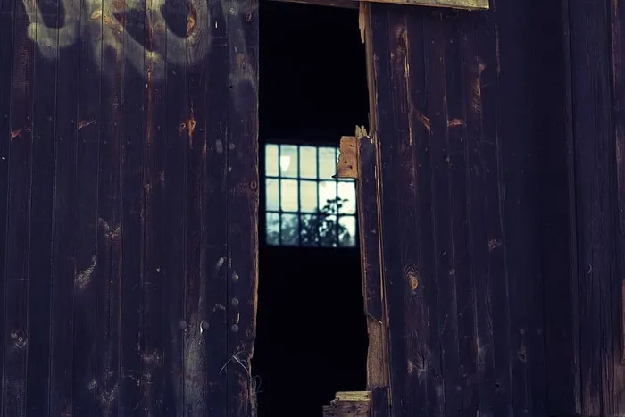 门，窗，木头，旧的，大厅，神秘的，可怕的，树