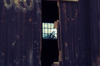 门，窗，木头，旧的，大厅，神秘的，可怕的，树