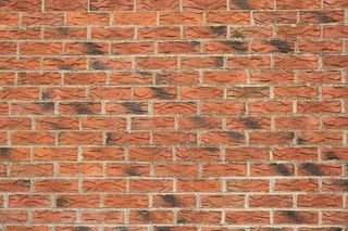 黑色、棕色、混凝土、砖墙、背景、砌块、砖、墙、墙、建筑