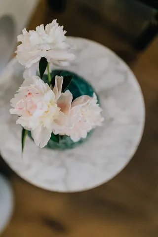 花瓶里的牡丹花