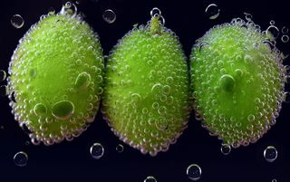 绿色，水果，水，橄榄，橄榄在水里，水下，喝