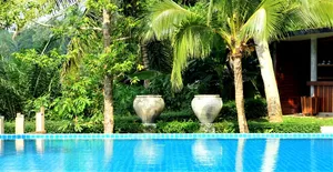 度假村，拉农，泰国，旅游，游泳池，植物，树木，水