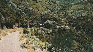 日光、土路、森林、小山、山脉、自然、户外、植物