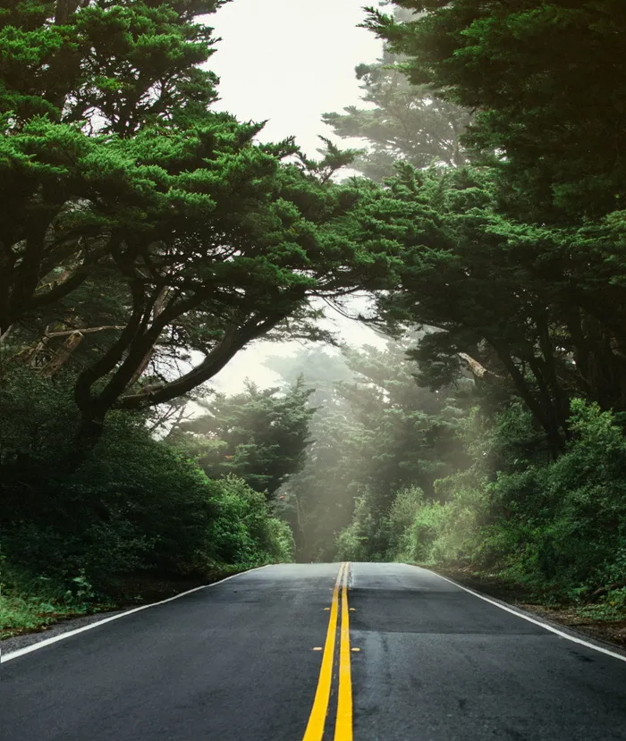 对称, 落后, 高速公路, 巷道, 雨, 山, 西北太平洋, pnw