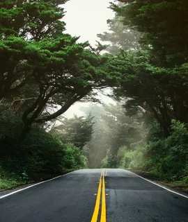 对称, 落后, 高速公路, 巷道, 雨, 山, 西北太平洋, pnw