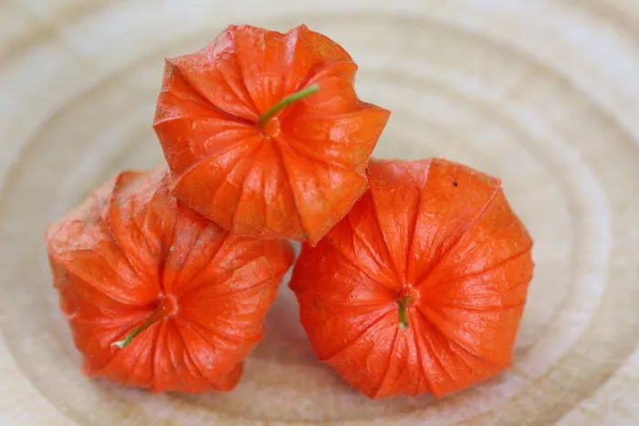 酸浆，酸浆，植物，蔬菜，浆果，装饰，手电筒，亚洲