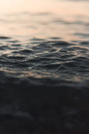 水的选择性聚焦摄影