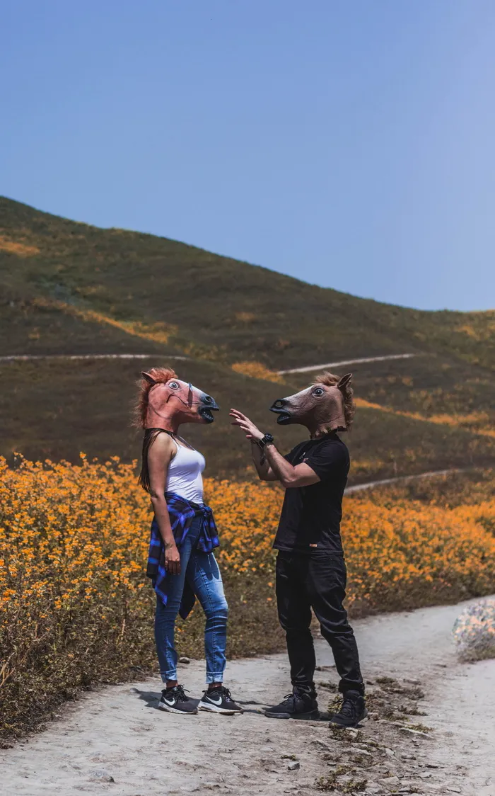 白天，男人和女人在花田附近戴着马面具面对面