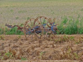 土豆，kartoffelernter，蔬菜，农业，土豆收获，格鲁比，田地，耕地
