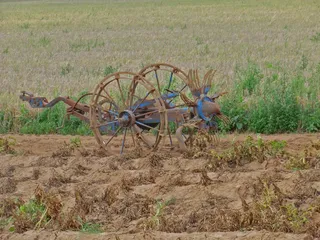 土豆，kartoffelernter，蔬菜，农业，土豆收获，格鲁比，田地，耕地