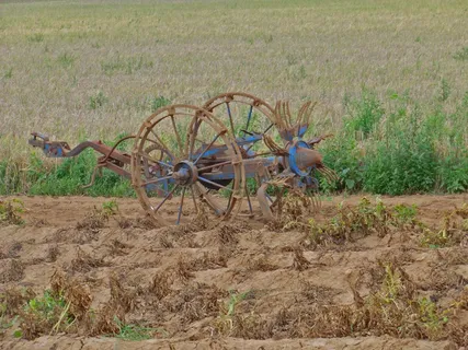 土豆,kartoffelernter,蔬菜,农业,土豆收获,格鲁比,田地,耕地 土豆,kartoffelernter,蔬菜,农业,土豆收获,格鲁比,田地,耕地