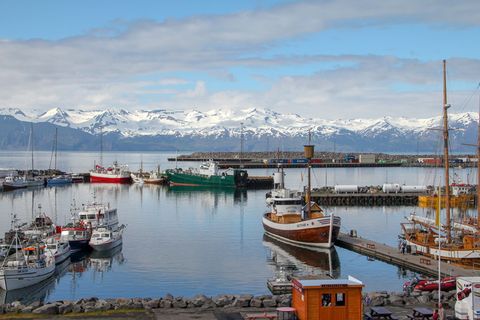 husavik，冰岛，港口，船，风景，船，海，边