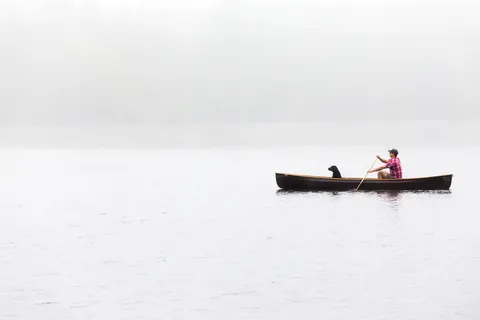 人、船、狗、板、人、人、动物、海洋 人、船、狗、板、人、人、动物、海洋