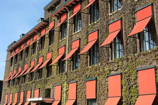 荷兰，海牙，窗户，橙色，颜色，墙壁，建筑物，遮阳篷