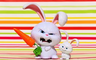 生活，宠物兔子雕像，兔子，邪恶，雪球，电影人物，宠物，搞笑