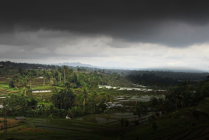 巴厘岛，印度尼西亚，阴天，田野，水稻，天空，黑暗，露台