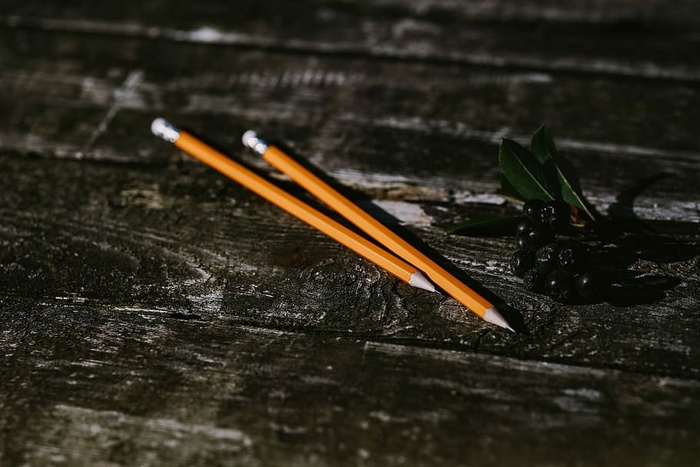 木头上的小花、铅笔和其他东西