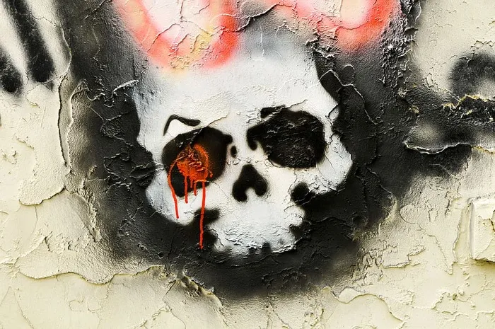 人类头骨插图的特写照片