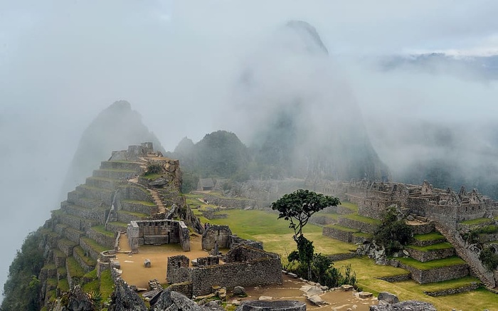 风景，山，高地，墙，楼梯，树，绿色，草