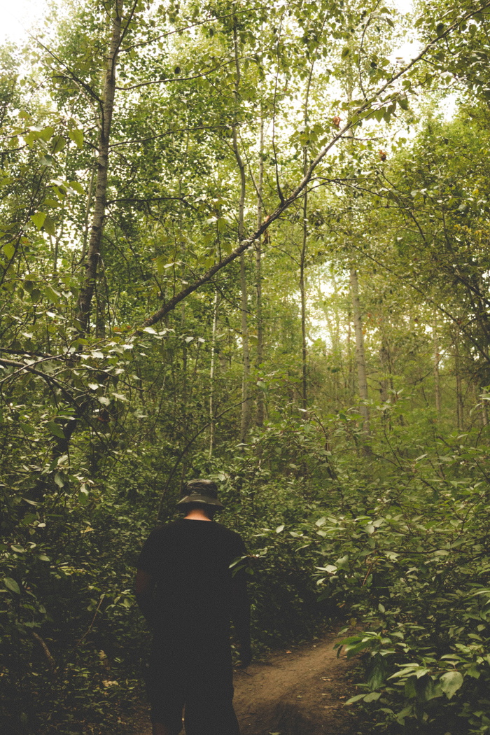 加拿大，埃德蒙顿，夏天，森林，散步，远足，家庭，兄弟