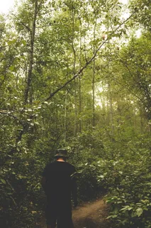 加拿大，埃德蒙顿，夏天，森林，散步，远足，家庭，兄弟