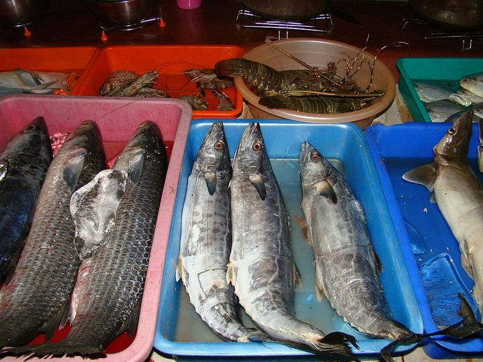 鱼、渔获物、新鲜、市场、海鲜、脊椎动物、动物、食品