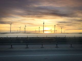 雾, 秋季, 心情, 升雾, 金色的秋天, 性质, 日出, 天空