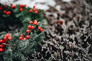 圣诞快乐的冬青花环