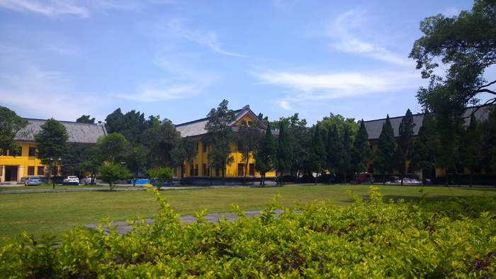 草原，蓝天，中国，广西师范大学，国王城，晴天，大学，植物