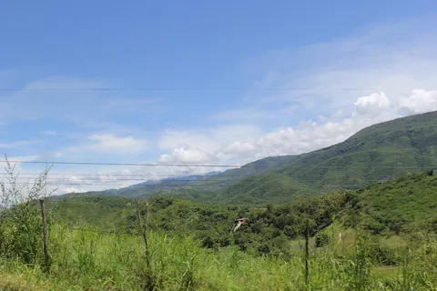 天堂,危地马拉,阿尔塔维拉帕斯,自然之美,风景-自然,宁静的景色,山,植物 天堂,危地马拉,阿尔塔维拉帕斯,自然之美,风景-自然,宁静的景色,山,植物