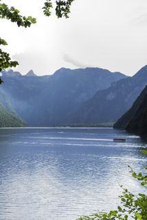 观点，反思，欧洲，夏天，国家，瓦茨曼，彩色，树