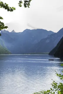 观点,反思,欧洲,夏天,国家,瓦茨曼,彩色,树 观点,反思,欧洲,夏天,国家,瓦茨曼,彩色,树