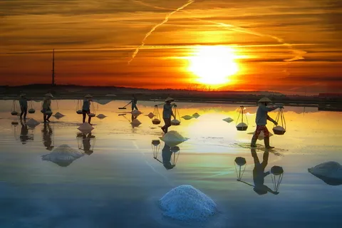 风景，天空，云朵，日落，稻田，倒影，风景，水