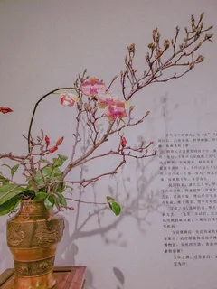 插花，装饰品，罐子，插花，陶器，花，艺术，花瓶