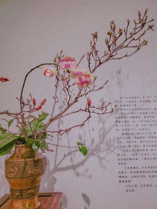 插花，装饰品，罐子，插花，陶器，花，艺术，花瓶