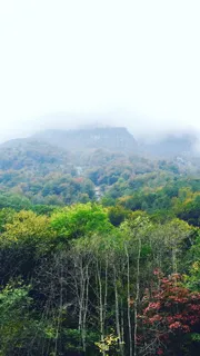 瑞士,提契诺,多云,多雾,雾,色彩,自然,徒步旅行 瑞士,提契诺,多云,多雾,雾,色彩,自然,徒步旅行