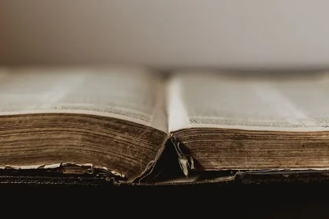 质朴的旧书在中心开放照片 质朴的旧书在中心开放照片