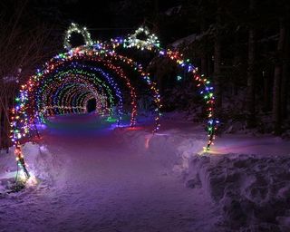 明亮快乐的圣诞灯