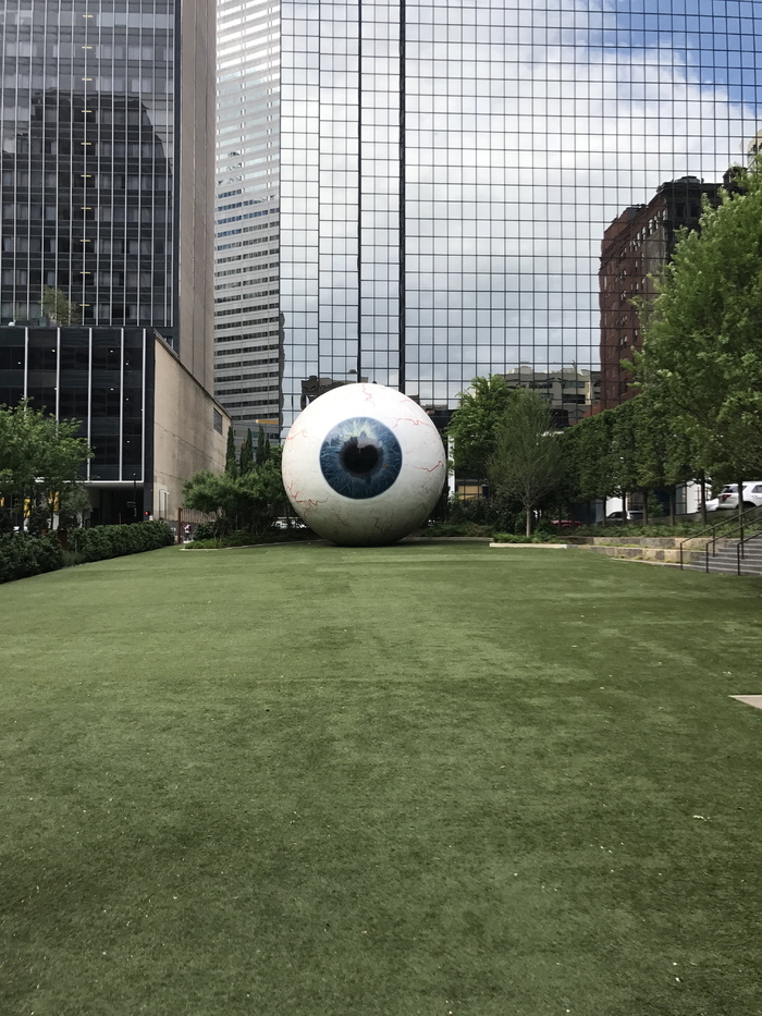 theeye, 眼睛, 达拉斯, 眼球, 榆树, 艺术, 草, 运动